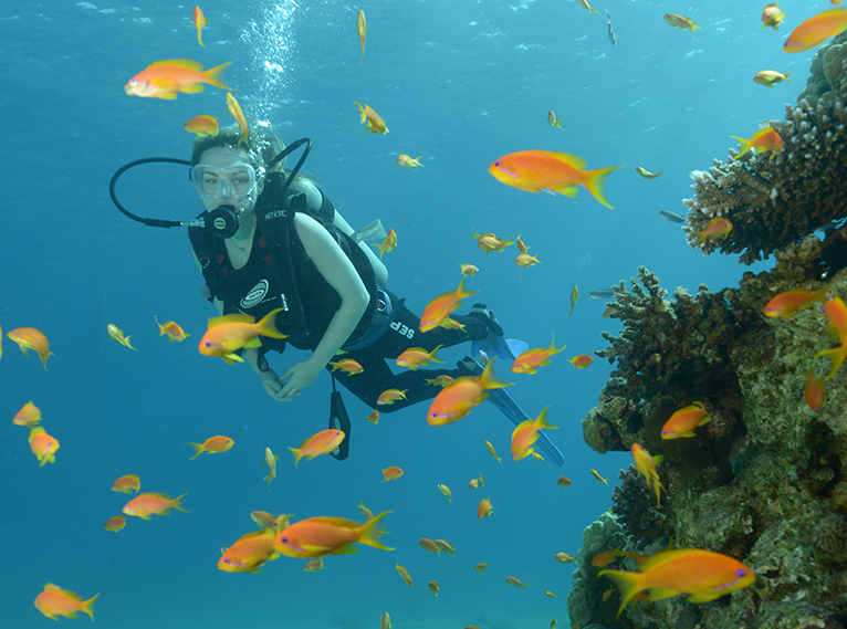 Isrotel Yam Suf Eilat Hotels