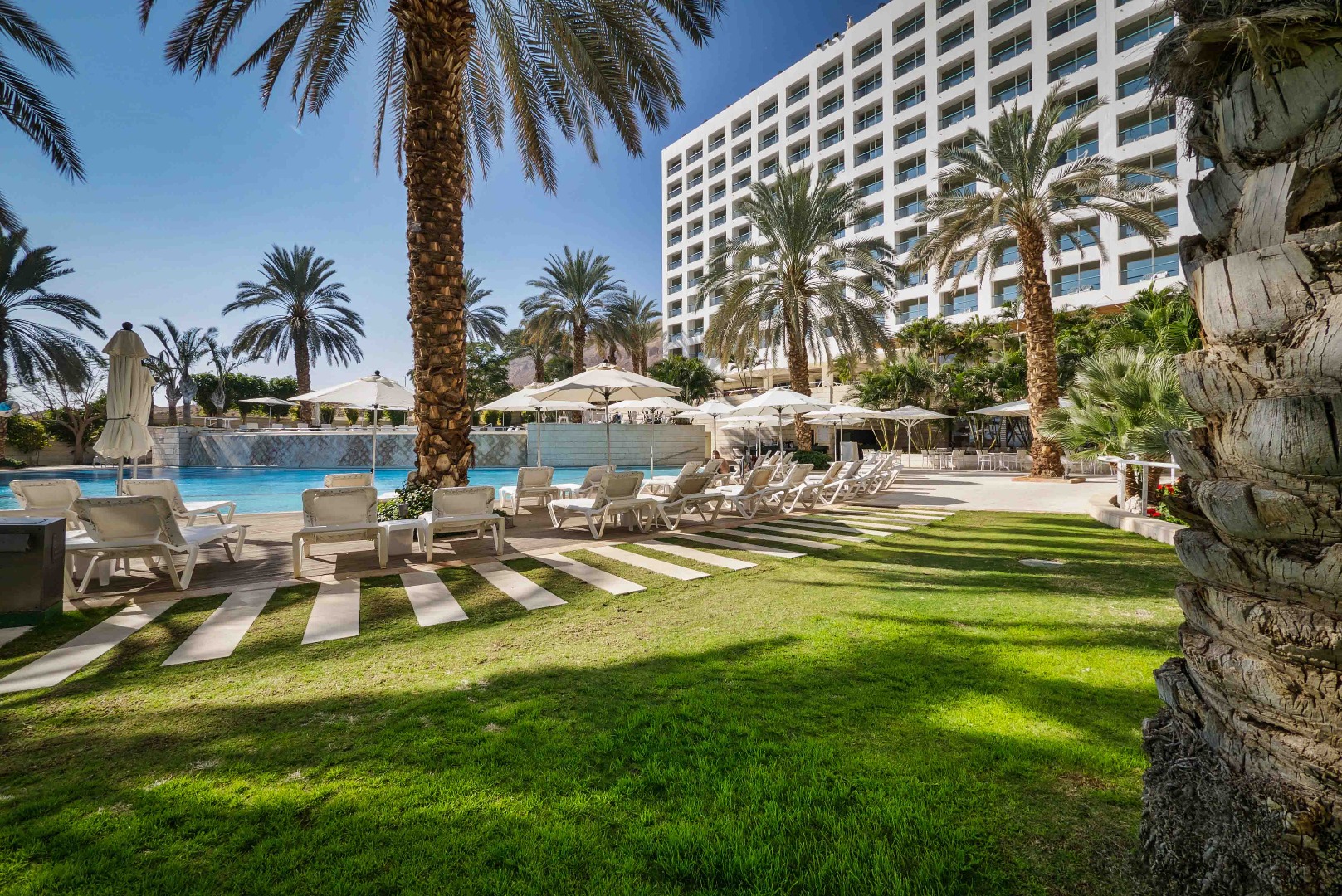 Dead Sea Full Movie In English Dead Sea Full Movie In English