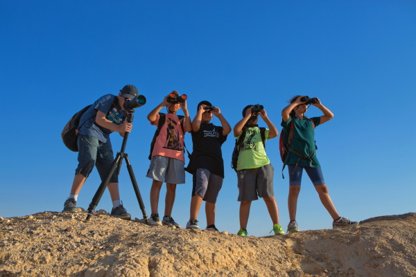 Bird Watching