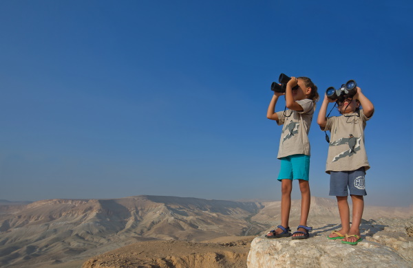 Kids watching birds