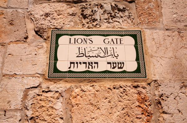 THE LION'S GATE