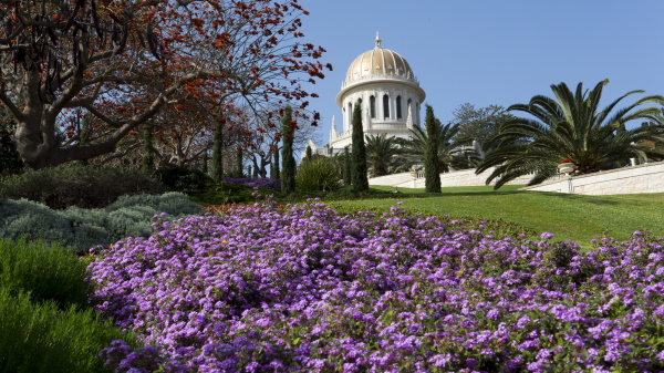 Bahai Gardens
